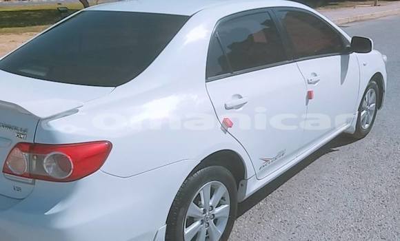 Buy Used Toyota Corolla White Car in Muscat in Masqat Buy Used Toyota Corolla White Car in Muscat in Masqat