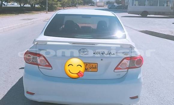 Buy Used Toyota Corolla White Car in Muscat in Masqat Buy Used Toyota Corolla White Car in Muscat in Masqat