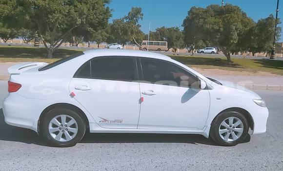Buy Used Toyota Corolla White Car in Muscat in Masqat Buy Used Toyota Corolla White Car in Muscat in Masqat