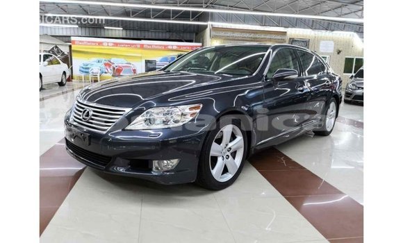 Buy Import Lexus LS Other Car in Import - Dubai in Dhufar Buy Import Lexus LS Other Car in Import - Dubai in Dhufar