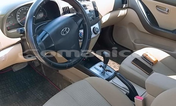 Buy Used Hyundai Elantra Other Car in Salalah in Dhufar Buy Used Hyundai Elantra Other Car in Salalah in Dhufar
