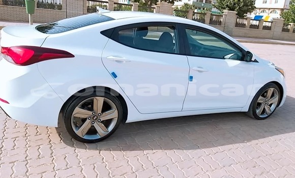 Buy Used Hyundai Elantra White Car in Salalah in Dhufar Buy Used Hyundai Elantra White Car in Salalah in Dhufar