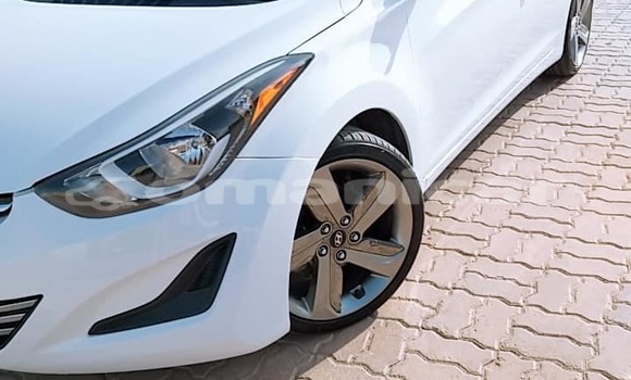 Buy Used Hyundai Elantra White Car in Salalah in Dhufar Buy Used Hyundai Elantra White Car in Salalah in Dhufar