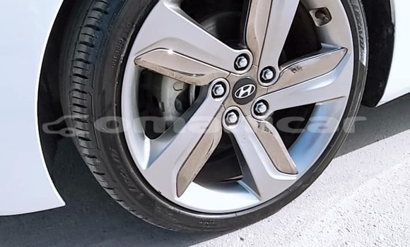 Buy Used Hyundai Elantra White Car in Salalah in Dhufar Buy Used Hyundai Elantra White Car in Salalah in Dhufar