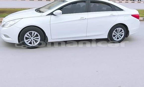 Buy Used Hyundai Sonata White Car in Salalah in Dhufar Buy Used Hyundai Sonata White Car in Salalah in Dhufar