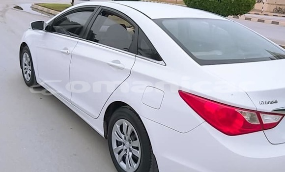 Buy Used Hyundai Sonata White Car in Salalah in Dhufar Buy Used Hyundai Sonata White Car in Salalah in Dhufar