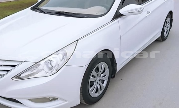 Buy Used Hyundai Sonata White Car in Salalah in Dhufar Buy Used Hyundai Sonata White Car in Salalah in Dhufar