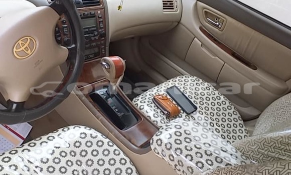 Buy Used Toyota Avalon Green Car in Salalah in Dhufar Buy Used Toyota Avalon Green Car in Salalah in Dhufar