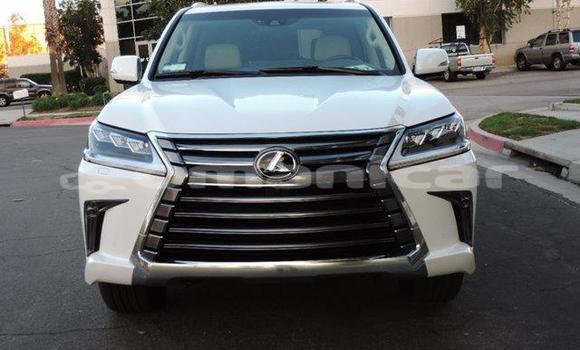 Buy Used Lexus LX 570 White Car in al–Khaburah in al-Batinah