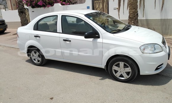 Buy Used Chevrolet Aveo White Car in Muscat in Masqat