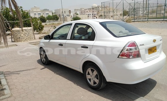 Buy Used Chevrolet Aveo White Car in Muscat in Masqat Buy Used Chevrolet Aveo White Car in Muscat in Masqat