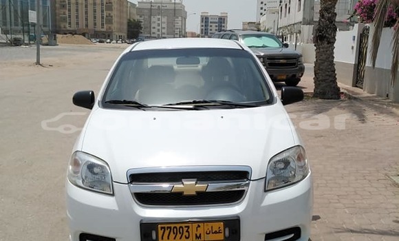 Buy Used Chevrolet Aveo White Car in Muscat in Masqat Buy Used Chevrolet Aveo White Car in Muscat in Masqat