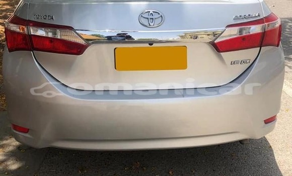 Buy Used Toyota Corolla Silver Car in Masqat in Masqat Buy Used Toyota Corolla Silver Car in Masqat in Masqat