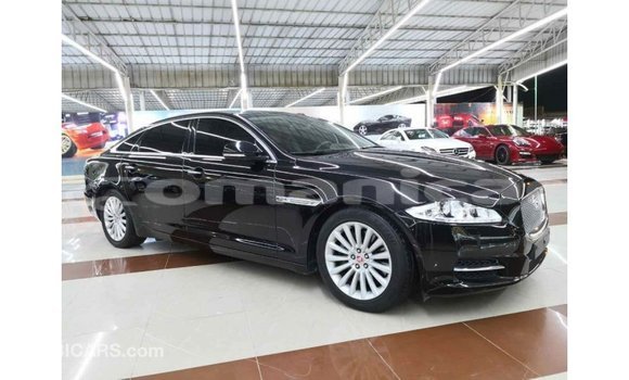 Buy Import Jaguar XJ Black Car in Import - Dubai in Dhufar Buy Import Jaguar XJ Black Car in Import - Dubai in Dhufar