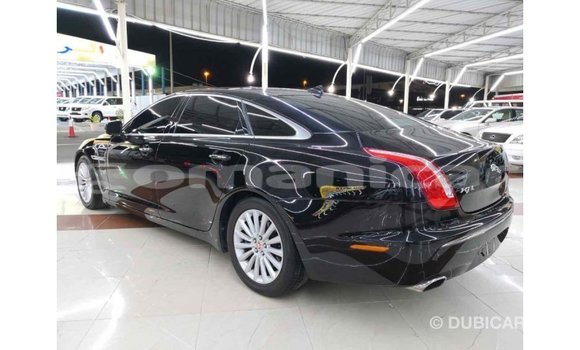 Buy Import Jaguar XJ Black Car in Import - Dubai in Dhufar Buy Import Jaguar XJ Black Car in Import - Dubai in Dhufar