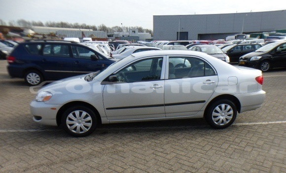 Buy Used Toyota Corolla Other Car in Muscat in Masqat Buy Used Toyota Corolla Other Car in Muscat in Masqat