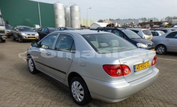 Buy Used Toyota Corolla Other Car in Muscat in Masqat Buy Used Toyota Corolla Other Car in Muscat in Masqat