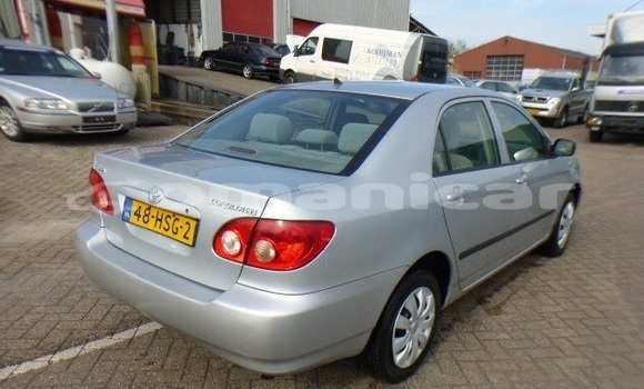 Buy Used Toyota Corolla Other Car in Muscat in Masqat Buy Used Toyota Corolla Other Car in Muscat in Masqat