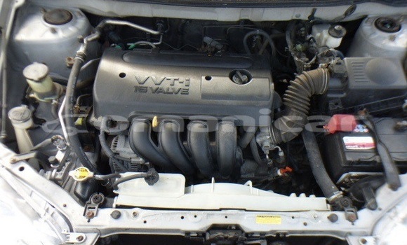 Buy Used Toyota Corolla Other Car in Muscat in Masqat Buy Used Toyota Corolla Other Car in Muscat in Masqat