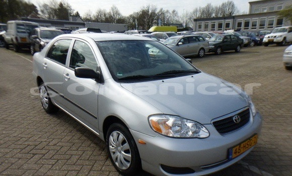 Buy Used Toyota Corolla Other Car in Muscat in Masqat Buy Used Toyota Corolla Other Car in Muscat in Masqat