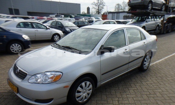 Buy Used Toyota Corolla Other Car in Muscat in Masqat Buy Used Toyota Corolla Other Car in Muscat in Masqat