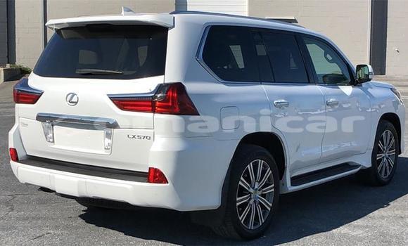Buy Used Lexus LX 570 White Car in Muscat in Masqat Buy Used Lexus LX 570 White Car in Muscat in Masqat