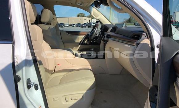 Buy Used Lexus LX 570 White Car in Muscat in Masqat Buy Used Lexus LX 570 White Car in Muscat in Masqat