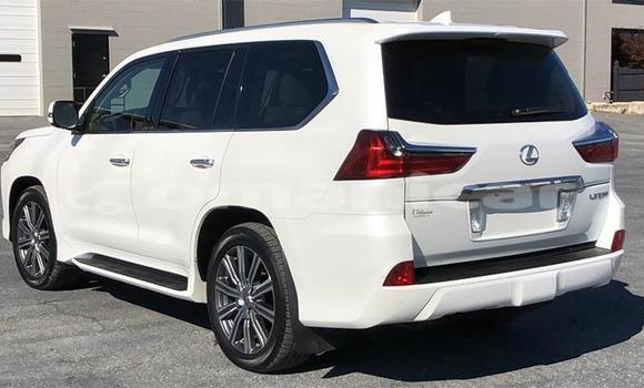 Buy Used Lexus LX 570 White Car in Muscat in Masqat Buy Used Lexus LX 570 White Car in Muscat in Masqat