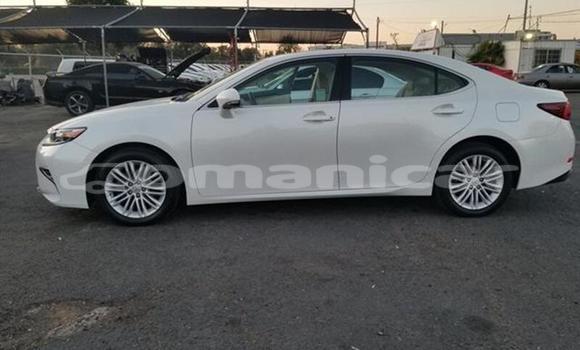Buy Used Lexus ES 300 White Car in Muscat in Masqat Buy Used Lexus ES 300 White Car in Muscat in Masqat