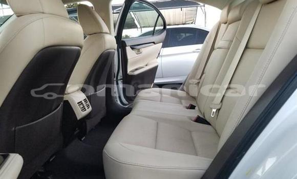 Buy Used Lexus ES 300 White Car in Muscat in Masqat Buy Used Lexus ES 300 White Car in Muscat in Masqat