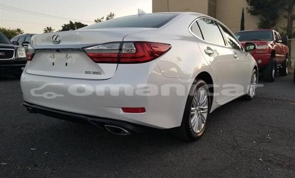 Buy Used Lexus ES 300 White Car in Muscat in Masqat Buy Used Lexus ES 300 White Car in Muscat in Masqat
