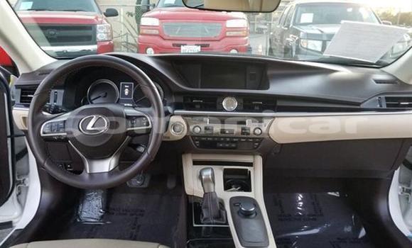 Buy Used Lexus ES 300 White Car in Muscat in Masqat Buy Used Lexus ES 300 White Car in Muscat in Masqat