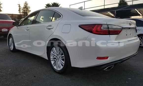 Buy Used Lexus ES 300 White Car in Muscat in Masqat Buy Used Lexus ES 300 White Car in Muscat in Masqat