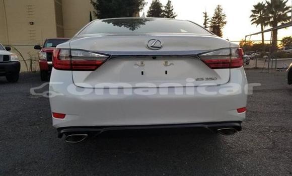 Buy Used Lexus ES 300 White Car in Muscat in Masqat Buy Used Lexus ES 300 White Car in Muscat in Masqat