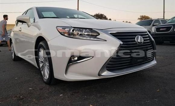 Buy Used Lexus ES 300 White Car in Muscat in Masqat Buy Used Lexus ES 300 White Car in Muscat in Masqat