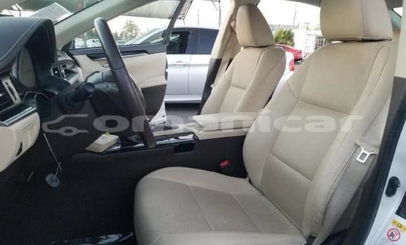 Buy Used Lexus ES 300 White Car in Muscat in Masqat Buy Used Lexus ES 300 White Car in Muscat in Masqat