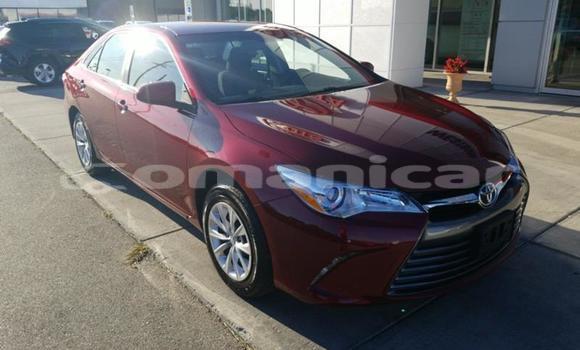 Buy Used Toyota Camry Red Car in Muscat in Masqat Buy Used Toyota Camry Red Car in Muscat in Masqat