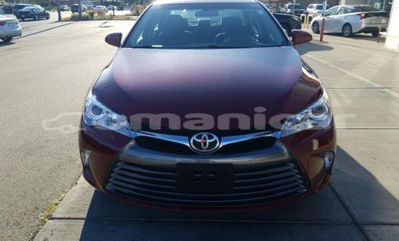 Buy Used Toyota Camry Red Car in Muscat in Masqat Buy Used Toyota Camry Red Car in Muscat in Masqat