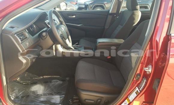 Buy Used Toyota Camry Red Car in Muscat in Masqat Buy Used Toyota Camry Red Car in Muscat in Masqat