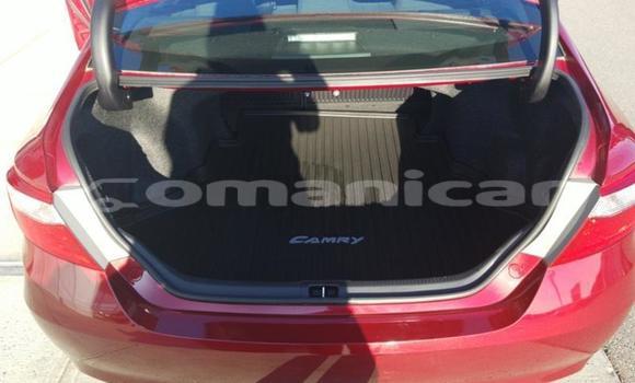 Buy Used Toyota Camry Red Car in Muscat in Masqat Buy Used Toyota Camry Red Car in Muscat in Masqat