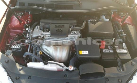 Buy Used Toyota Camry Red Car in Muscat in Masqat Buy Used Toyota Camry Red Car in Muscat in Masqat