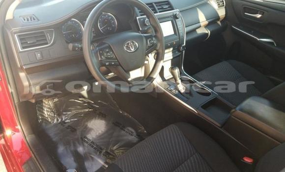 Buy Used Toyota Camry Red Car in Muscat in Masqat Buy Used Toyota Camry Red Car in Muscat in Masqat