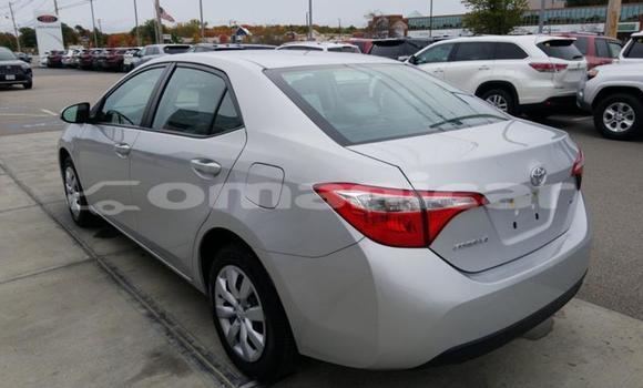 Buy Used Toyota Corolla Other Car in Muscat in Masqat Buy Used Toyota Corolla Other Car in Muscat in Masqat