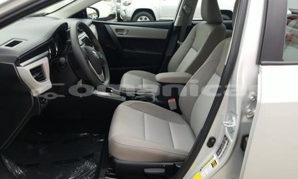 Buy Used Toyota Corolla Other Car in Muscat in Masqat Buy Used Toyota Corolla Other Car in Muscat in Masqat