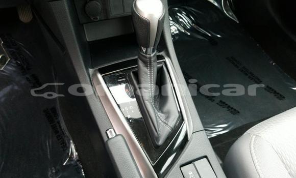 Buy Used Toyota Corolla Other Car in Muscat in Masqat Buy Used Toyota Corolla Other Car in Muscat in Masqat