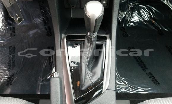 Buy Used Toyota Corolla Other Car in Muscat in Masqat Buy Used Toyota Corolla Other Car in Muscat in Masqat