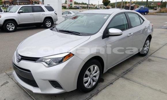 Buy Used Toyota Corolla Other Car in Muscat in Masqat Buy Used Toyota Corolla Other Car in Muscat in Masqat