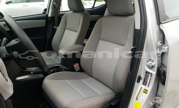 Buy Used Toyota Corolla Other Car in Muscat in Masqat Buy Used Toyota Corolla Other Car in Muscat in Masqat