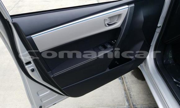 Buy Used Toyota Corolla Other Car in Muscat in Masqat Buy Used Toyota Corolla Other Car in Muscat in Masqat