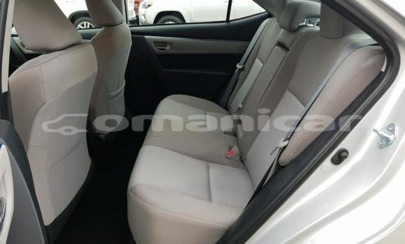 Buy Used Toyota Corolla Other Car in Muscat in Masqat Buy Used Toyota Corolla Other Car in Muscat in Masqat